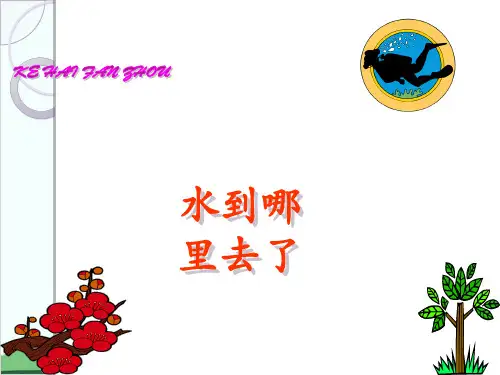 教科版小学科学《水到哪里去了》PPT1