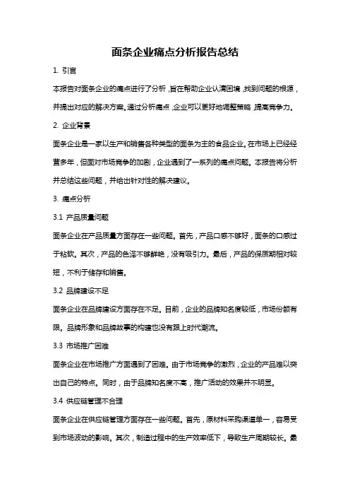 面条企业痛点分析报告总结