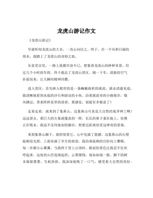 龙虎山游记作文
