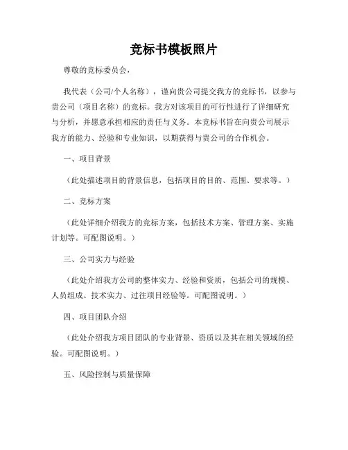 竞标书模板照片