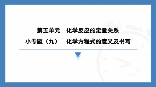 小专题(九) 化学方程式的意义及书写-2024-2025学年九年级化学人教版上册