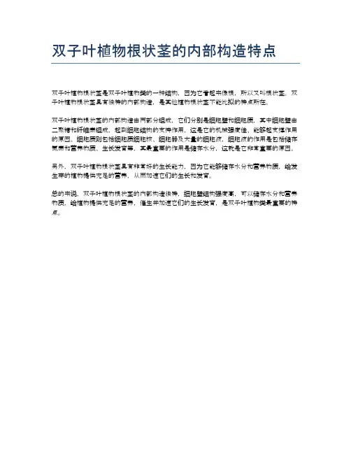 双子叶植物根状茎的内部构造特点
