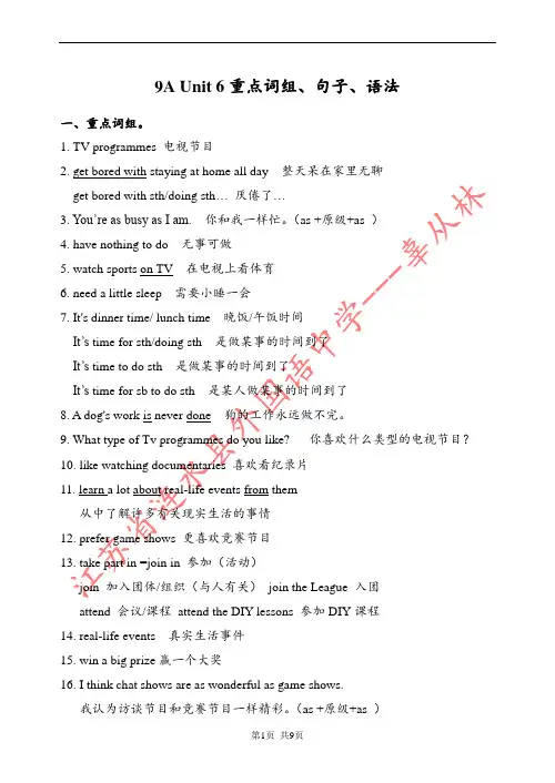 牛津9A Unit6 重要短语 句型 语法