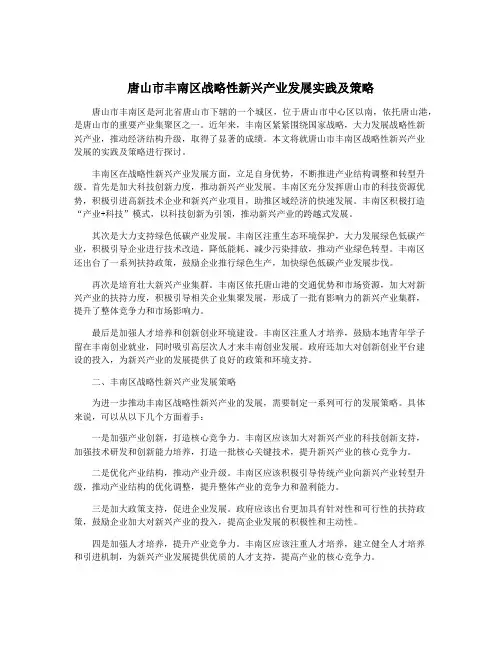 唐山市丰南区战略性新兴产业发展实践及策略
