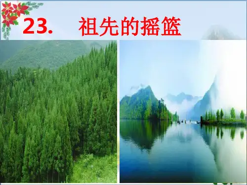 祖先的摇篮 人教部编版PPT 优秀课件