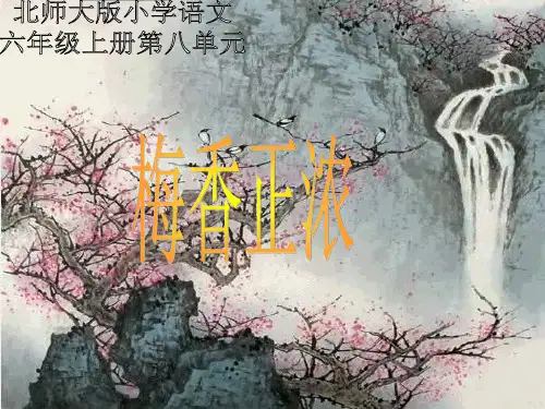 北师大版第十一册《梅香正浓》PPT课件   大赛获奖精美课件PPT