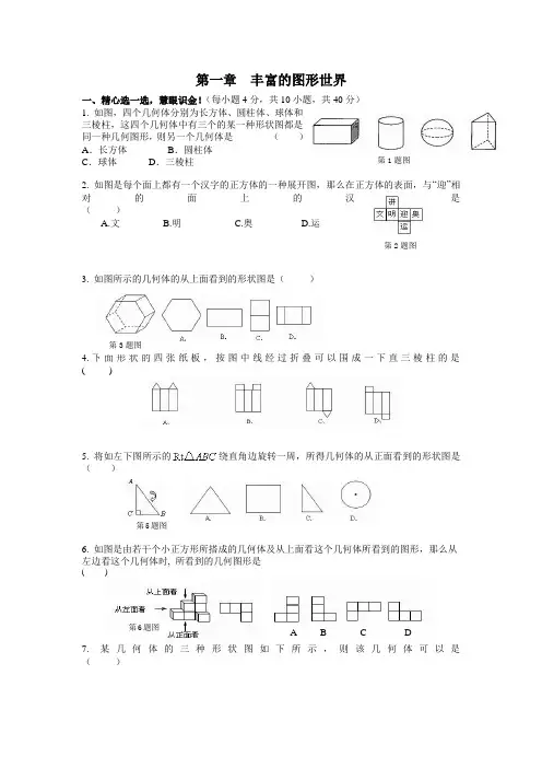 丰富的图形世界精选练习