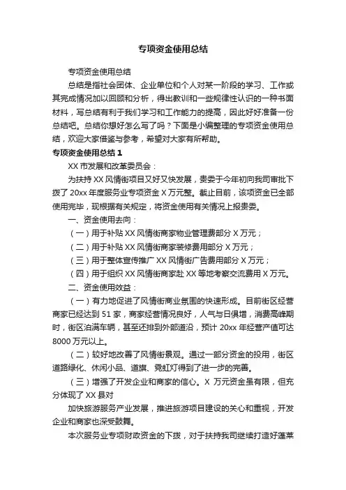 专项资金使用总结