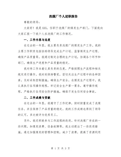 洗煤厂个人述职报告