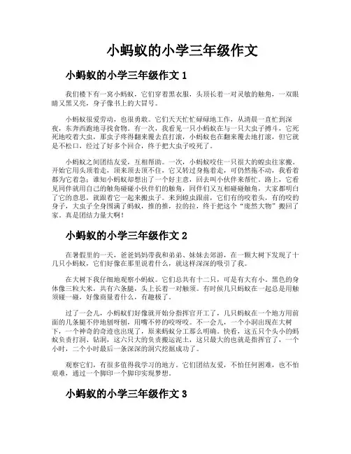 小蚂蚁的小学三年级作文
