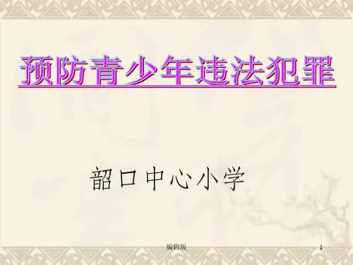 安全教育主题班会：预防青少年违法犯罪PPT课件