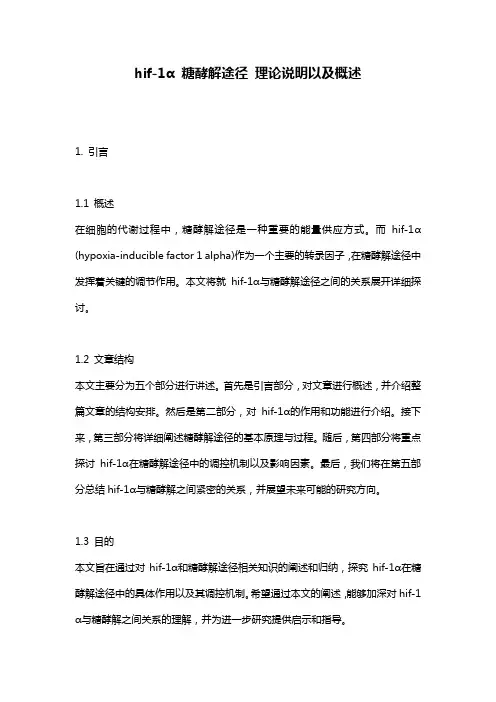 hif-1α_糖酵解途径_理论说明以及概述