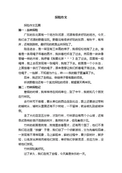 探险作文五篇