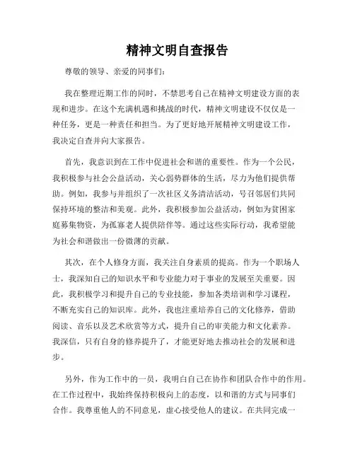 精神文明自查报告