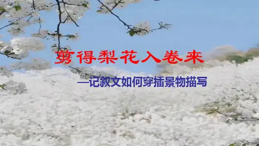 复习写作指导：记叙文中如何穿插景物描写课件 30张-2023届高考语文复习