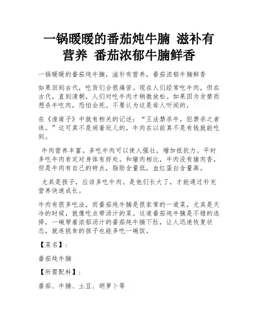 一锅暖暖的番茄炖牛腩 滋补有营养 番茄浓郁牛腩鲜香