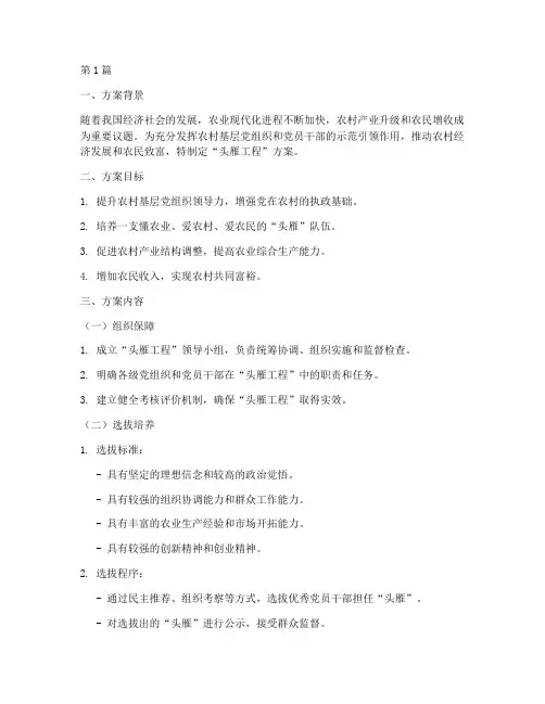 头雁工程方案(3篇)