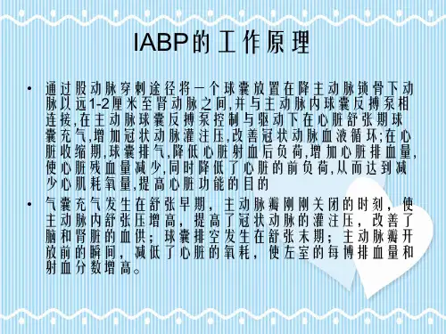 主动脉内球囊反搏IABP的原理和临床应用