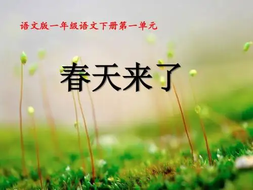《春天来了》PPT课件(上课用)2
