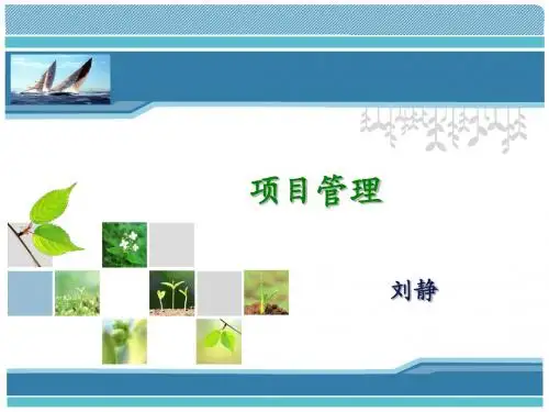 项目管理11
