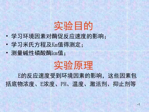 碱性磷酸酶km值测定PPT课件