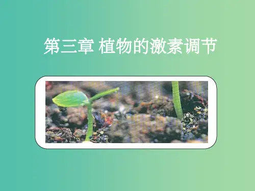 高中生物 第三章 第三节 其它植物激素 新人教版必修3
