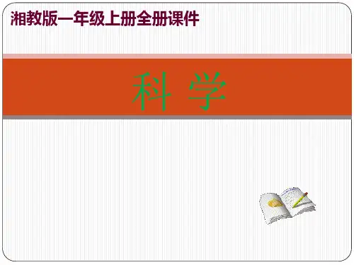 湘教版一年级上册科学全册课件
