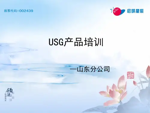 启明星辰USG产品培训
