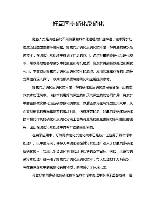 好氧同步硝化反硝化