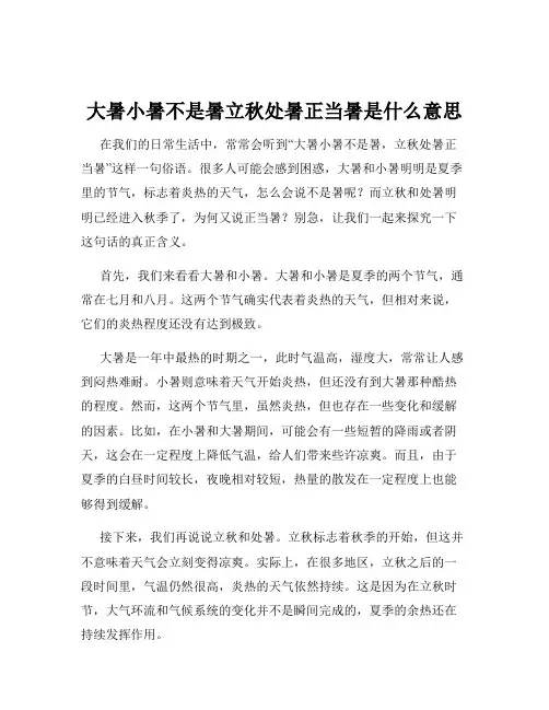大暑小暑不是暑立秋处暑正当暑是什么意思