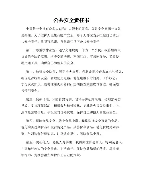 公共安全责任书