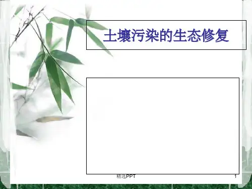《土壤污染生态修复》PPT课件