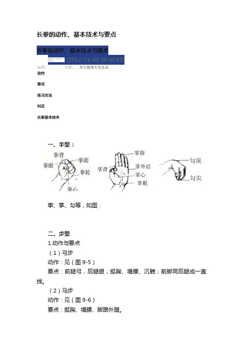 长拳的动作、基本技术与要点