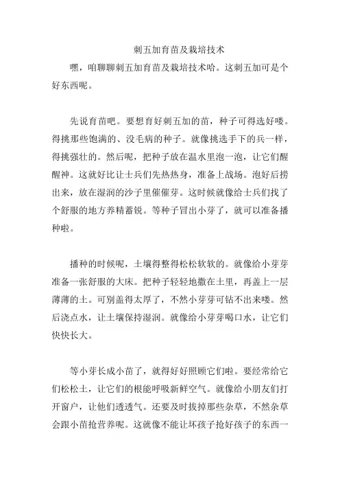 刺五加育苗及栽培技术