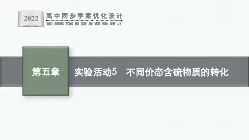 实验活动5 不同价态含硫物质的转化