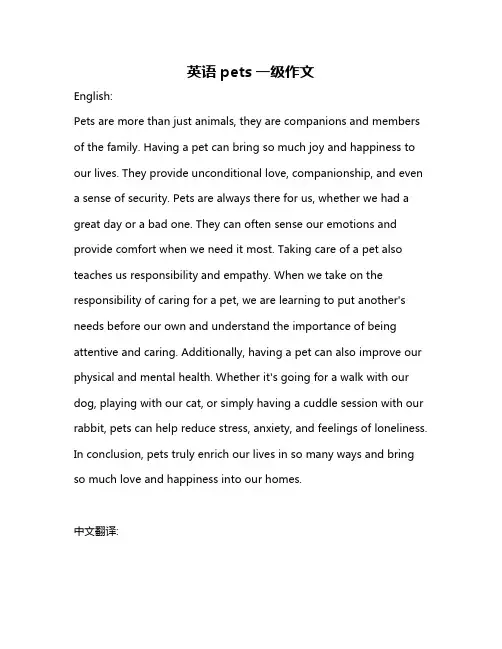 英语pets一级作文