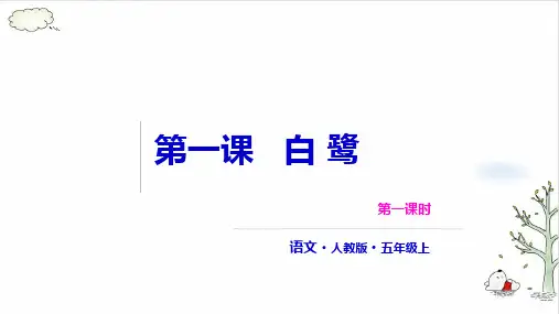 《白鹭》课件完美版(共41张PPT)