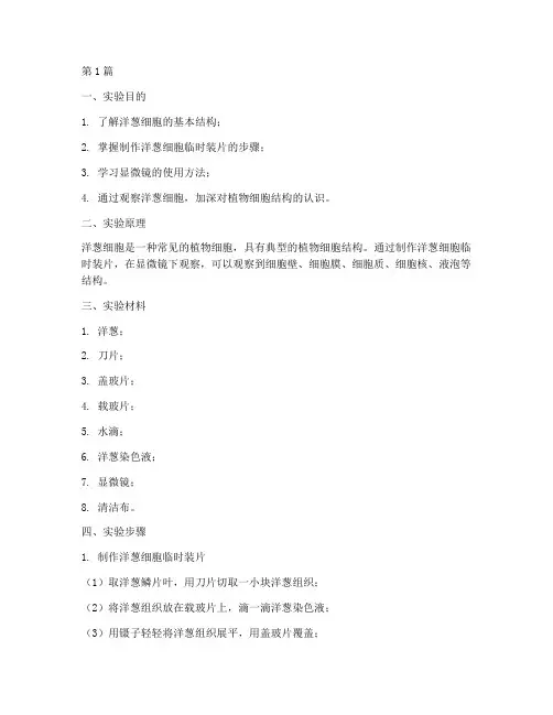 洋葱实验报告及答案(3篇)