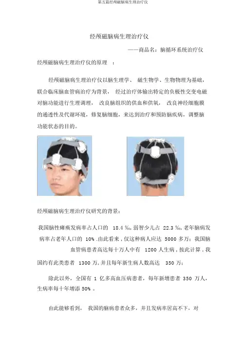 第五篇经颅磁脑病生理治疗仪