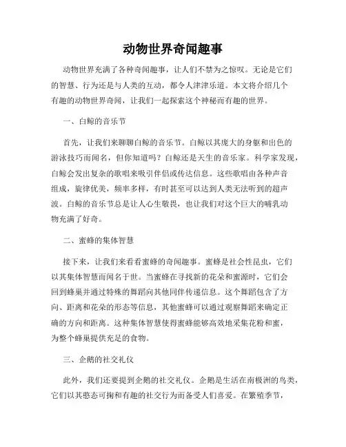 动物世界奇闻趣事