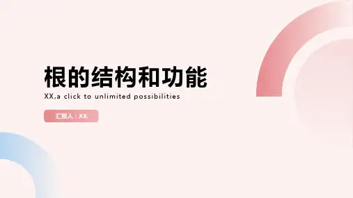 根的结构和功能