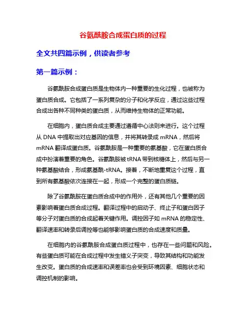 谷氨酰胺合成蛋白质的过程