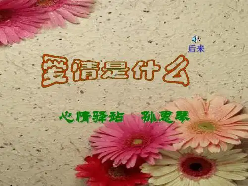爱情是什么