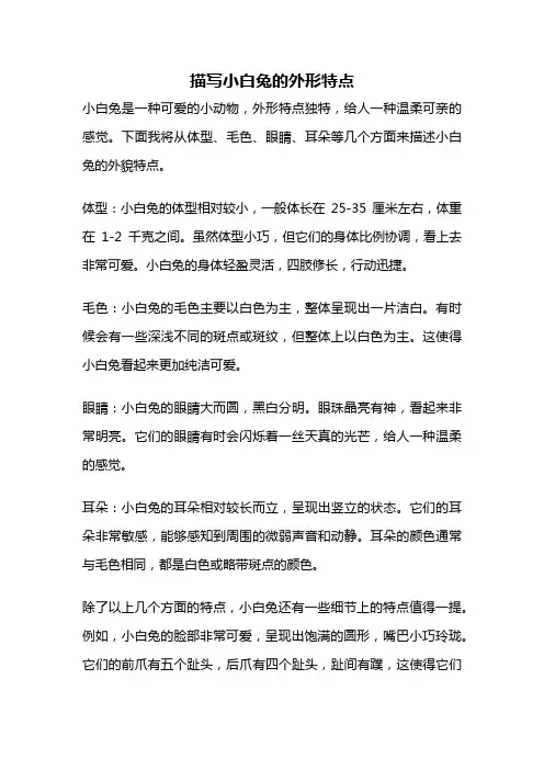 描写小白兔的外形特点
