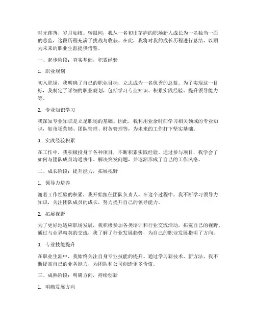 总监成长历程总结范文