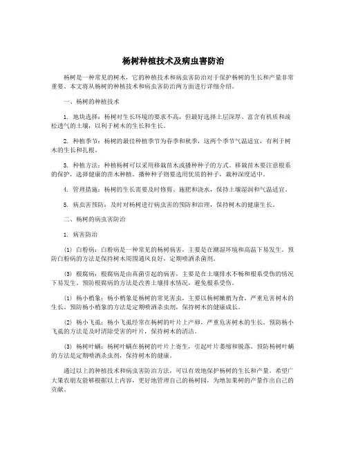 杨树种植技术及病虫害防治