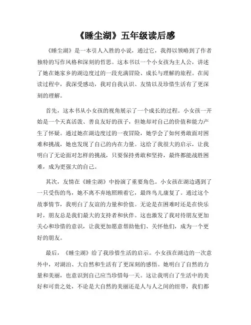 《睡尘湖》五年级读后感