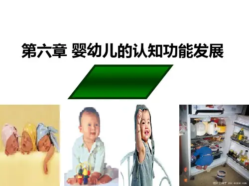 婴儿认知的发展