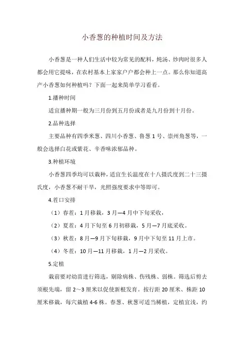 小香葱的种植时间及方法