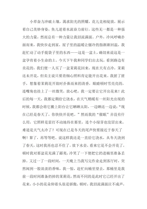总有一种力量让我泪流满面600字